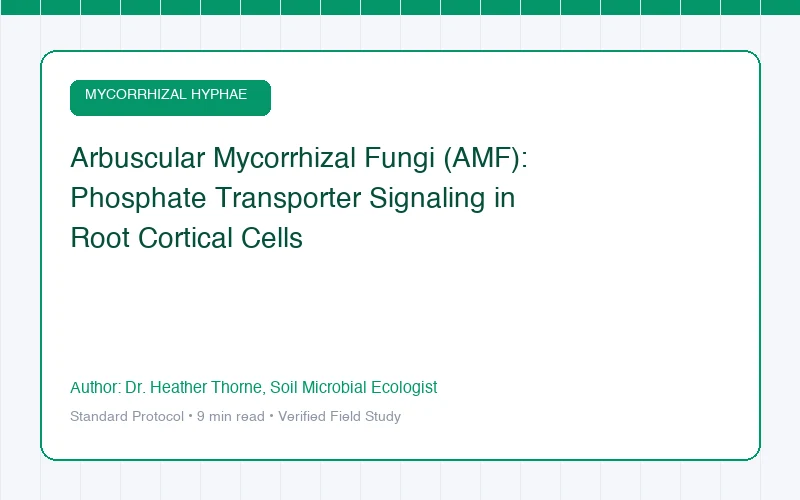 Arbuscular Mycorrhizal Fungi (AMF): Phosphate Transporter Signaling in Root Cortical Cells
